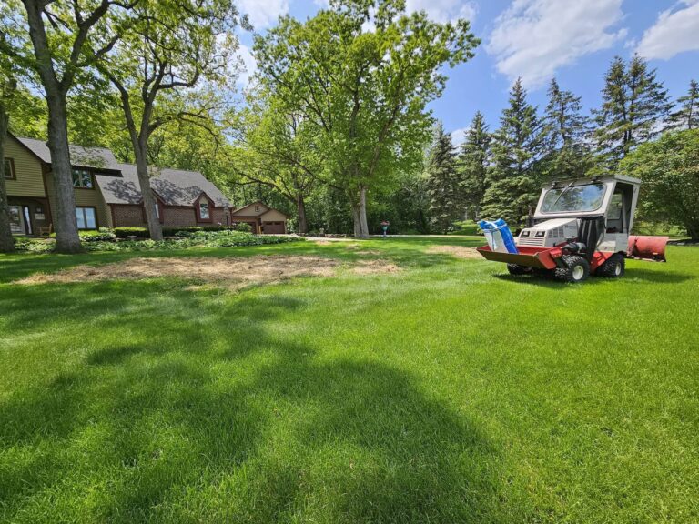 landscaping services