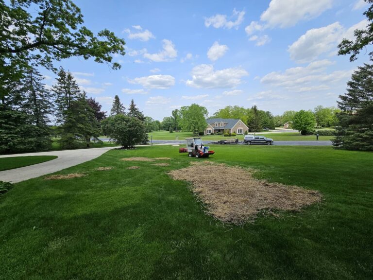 Brush Clearing