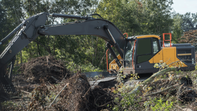 Brush Clearing